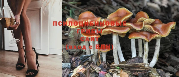 спиды Алексеевка