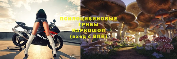 гидра Алзамай