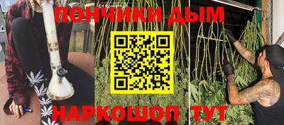 индика Кимры
