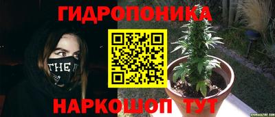 молекула духа Кинель