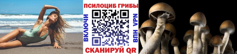MEGA tor  Феодосия  Псилоцибиновые грибы ЛСД 