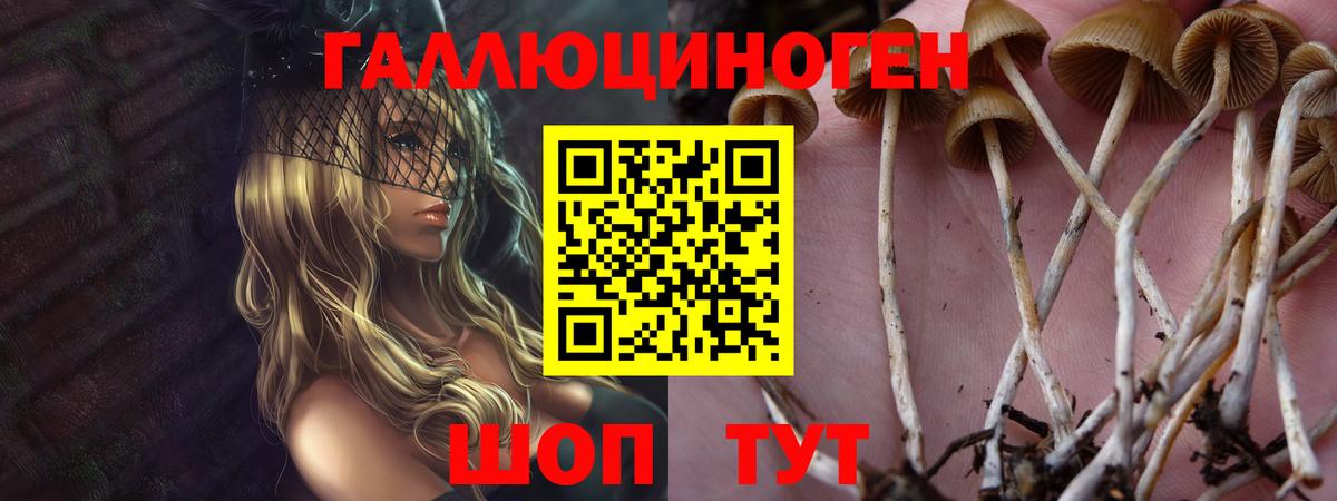 купить наркотики сайты  Псилоцибиновые грибы мухоморы  Вход с VPN  Галлюциногенные грибы Psilocybine cubensis  Феодосия 