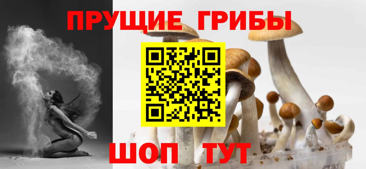 Псилоцибиновые грибы мухоморы Феодосия